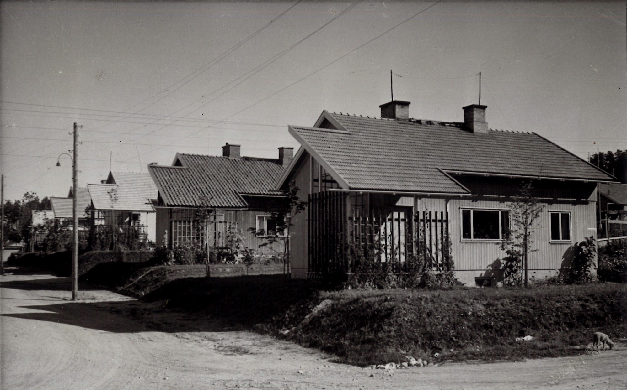 Rauhala-tyypin omakotitaloja Mäki-Matin kaupunginosassa Jyväskylässä. Rakennuksen kulmaan sijoitetun kuistin esikuvana olivat Alvar Aallon 1930-luvulla suunnittelemat A-talot. Kuva: Elinkeinoelämän keskusarkisto (ELKA)